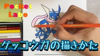 ゲッコウガの描きかた/イラスト/お絵かき/色えんぴつ/ポケモン　Drawing Pokemon Greninja