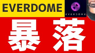 EVERDOME 暴落　どこまで下がるのか？　エバードーム価格