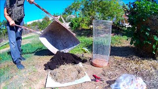 Grow Onions and Garlic in a Tower Vertically 