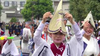 阿波踊り 中々連　2019 坂戸夏よさこい