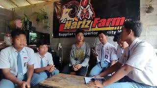 observasi Hariz Farm