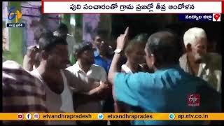 Tiger Roaming In Nandyal Dist | పెద్ద అనంతాపురంలో పెద్దపులి సంచారం | ఆందోళనలో ప్రజలు