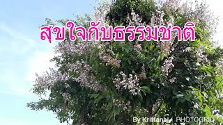 อยู่กับธรรมชาติอย่างไรให้มีความสุข