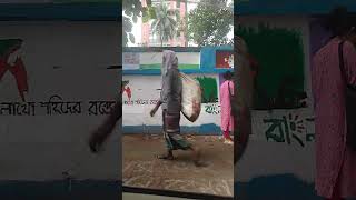 সিদ্ধেশ্বরী এলাকা থেকে ভিডিও করা হয়েছে