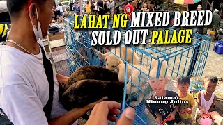 UPDATE SA BOCAUE, BULACAN PET MARKET DAY