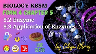 5.2 Enzymes and 5.3 Application of Enzymes