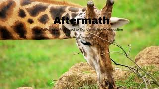 Aftermath by Kande Michaele Augustine