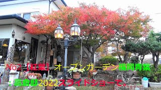 No2【紅葉】オープンガーデン福岡青葉：高倉邸2022スライドショーでNo2 [Autumn Leaves] Fukuoka Aoba Takakura Residence Slide Show