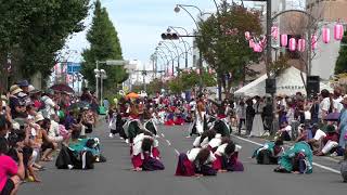 水戸藩ＹＯＳＡＫＯＩ連   　一刀流し踊り二回目