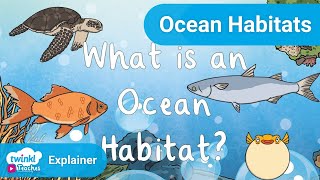 What Is an Ocean Habitat? | Twinkl Parenting Wiki