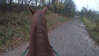 Come ride with me 5/11/24 Park Bridge and Snipe Clough 3/5