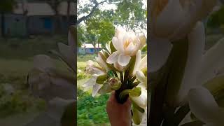 যে তিন জায়গায় মিথ্যা বলা জায়েজ⁉️#foryou #nature #viralvideo #shorts #viralshorts