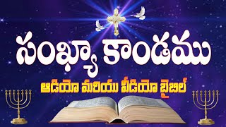 Sankhya Kandam || Numbers || Telugu Audio Bible _ సంఖ్యా కాండము