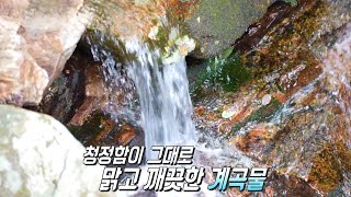 자연을 그대로 간직한 ‘치유의 숲’