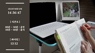 22. 06. 02. (목) | 변호사시험 준비 | 스터디윗미 Study with Me | 뽀모도로 | 장작불 ASMR