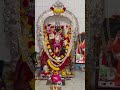 Gayatri Mata Darshan as Mother Durga - Oct 22, 2023 Morning | Gayatri Temple, Prasanthi Nilayam