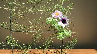 Modern Ikebana/ Light and shadows 现代花道/光影