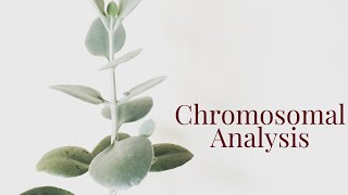 What is Chromosomal Analysis (karyotype and microarray)?