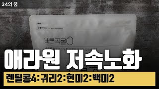 애라원 저속노화밥으로 건강챙겨요, 렌틸콩4, 귀리2, 현미2, 백미2