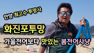 화진포해변 갯터진날 안양 김규식 투망사 형님 대전어투망 짧고 강렬한 영상 바다투망달인 포크레인 갯터짐 작업후 수천마리 봄 대전어떼 출몰 동해바다투망 cast net fishing