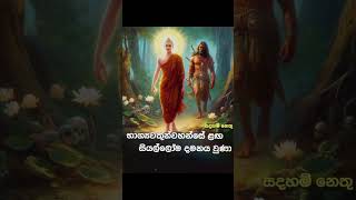 උතුම් තෙරුවන් සරණින් නිදුක් නිරෝගී වාසනාවන්ත ජීවිතේකට ආශිර්වාද වේවා❤️🙏 |බුදු සරණයි 🙏✨️ |#subscribe👈😇