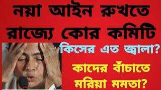 নয়া ফৌজদারি আইনের একরাশ  হতাশা নিয়ে মমতা করছেন এই কাজ