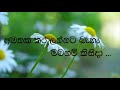 hitha assata hina godak karaoke හිත අස්සට හීන ගොඩක් කැරෝකේ athula adikari