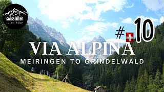 Hiking alone 23 km, Swiss Alps | Via Alpina, STAGE 10 - Meiringen to Grindelwald | hiking vlog 4k