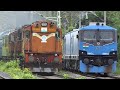 Indian Railways Freight Trains at FULL SPEED | Diesel vs Electric Action | IR