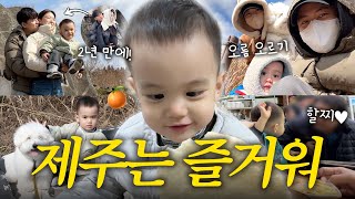 [VLOG] 하루만에 적응 완료⁉️ 웃음이 끊이지 않는 제주 2탄 (새별오름, 성이시돌목장, 제주동문시장, 로컬맛집)