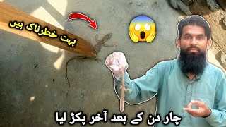 بہت خطرناک ہیں😱 چار دن کے بعد آخر کار پکڑ لیا🤯 Pakistani village culture/molvi Punjab da