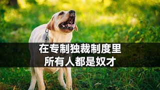 在专制独裁制度里，所有人都是奴才【B站评论】