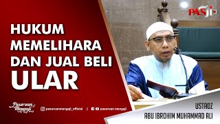 HUKUM MEMELIHARA DAN JUAL BELI ULAR | Ustadz Abu Ibrohim Muhammad Ali