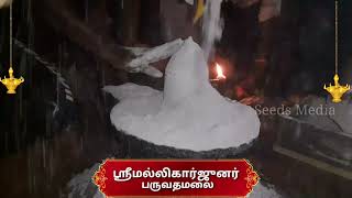 ஸ்ரீமல்லிகார்ஜுனர் | பருவதமலை | Seeds Media #traditional #shivan  #parvathamalai #reels #adiyogi