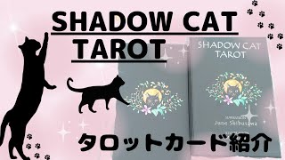 🐾SHADOW CAT TAROT🐾タロットカード紹介