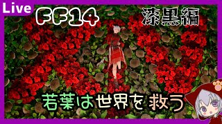 ＜FF14＞ManaDC:初見漆黒！ニーアシャキるかなあ？蛮クエのエクストラもでてる[初見さん歓迎]