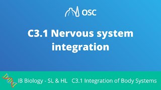 C3.1 Nervous System Integration [IB Biology SL/HL]