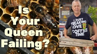 Beekeeping How To Evaluate Your Queen