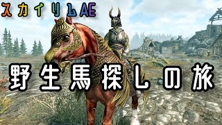 【スカイリム】野生馬を探しに旅に出たアルゴニアン冒険者プレイ【字幕】