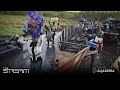 The Stream - South Sudan, between fighting and famine