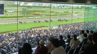 【悲願の日本馬・凱旋門賞制覇へ】タイトルホルダー全G1制覇・現地観戦映像