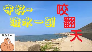 太狂了這咬況~沿岸磯釣浮標松柏港北堤!守好位置不要輕易放棄.誘餌繼續打~時間到就是開爽!本日出水魚種:沙格.黑格.赤翅.黑點.豆仔魚