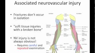 General principles of ortho trauma for PA students 4 - associated injuries