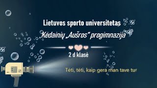 LSU Kėdainių „Aušros“ progimnazija - 2 D klasė