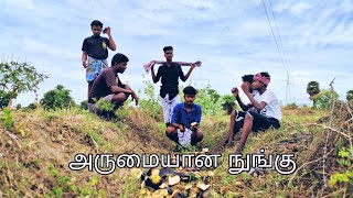 நுங்கு சாப்பிடலாம் வாங்க