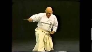 Hakuo Sagawa - Muso Shinden-ryu:  Eishin-ryu