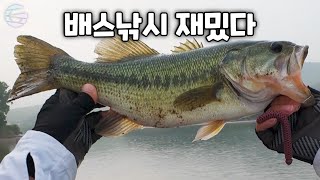 배스낚시 하는데 메탈바이브에 이게 잡힐줄은 상상도 못했습니다