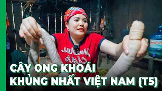Chủ tịch Tuyên Xinh Gái vào bếp nấu ăn cho đội thợ THU HOẠCH MẬT ONG KHOÁI RỪNG KHỦNG NHẤT VIỆT NAM