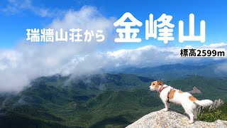 【犬連れ百名山⑯】ジャックラッセルテリアと金峰山　瑞牆山荘から千代ノ吹上コース往復 / hike with dog in Japan Jack russell terrier