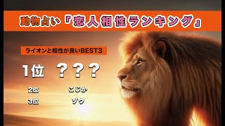 【動物占い恋愛相性編】ライオンのあなたが本当に恋人にふさわしいのは〇〇の人ですvol.554